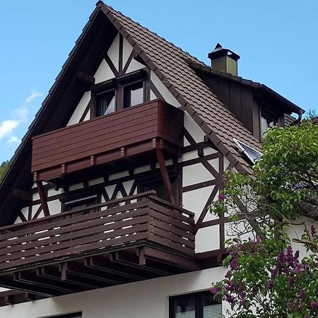 Ferienwohnung Kappelblick Капелродек Екстериор снимка